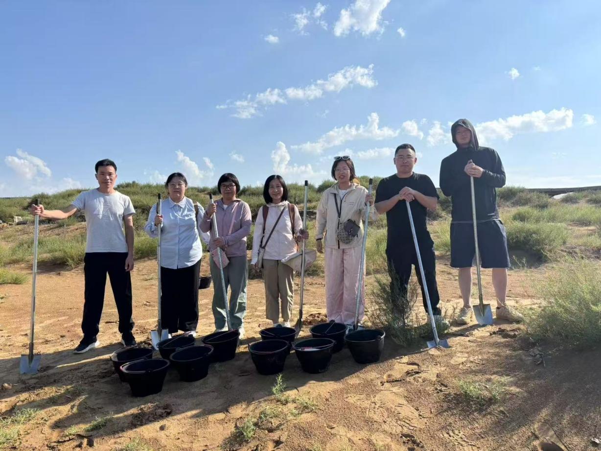 ebfc7486778ea5dba23772136f931533